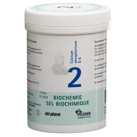 Pfluger Schuessler No. 2 Calcium phosphoricum Tabl D 6 250 g - PrimeCare Global