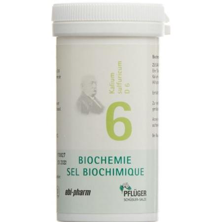 PFLUEGER SCH&Uuml;SSLER Nr6 Kal sulf Tabl D 6 100 g - PrimeCare Global