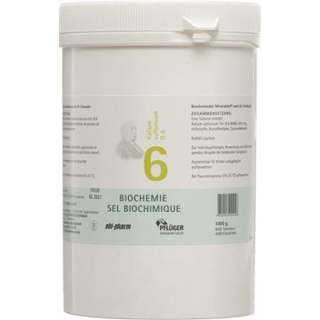 PFLUEGER SCH&Uuml;SSLER Nr6 Kal sulf Tabl D 6 1000 g - PrimeCare Global