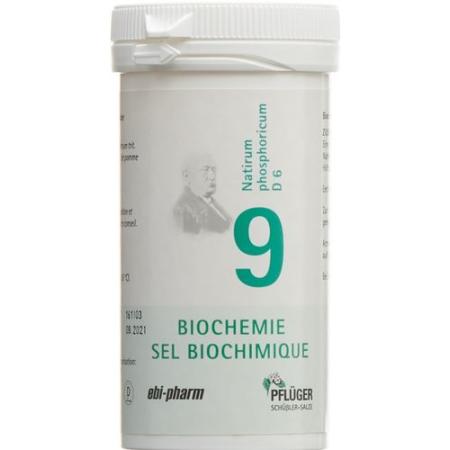 PFLUEGER SCH&Uuml;SSLER Nr9 Natr phos Tabl D 6 100 g - PrimeCare Global