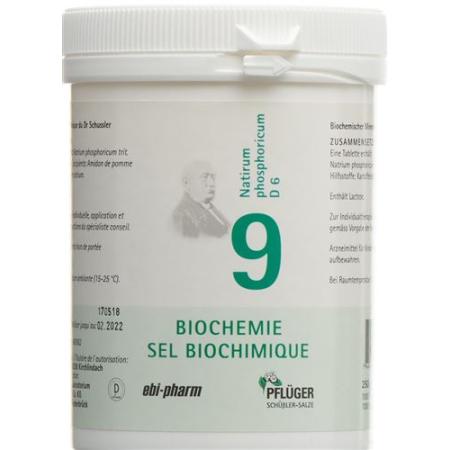 PFLUEGER SCH&Uuml;SSLER Nr9 Natr phos Tabl D 6 250 g - PrimeCare Global