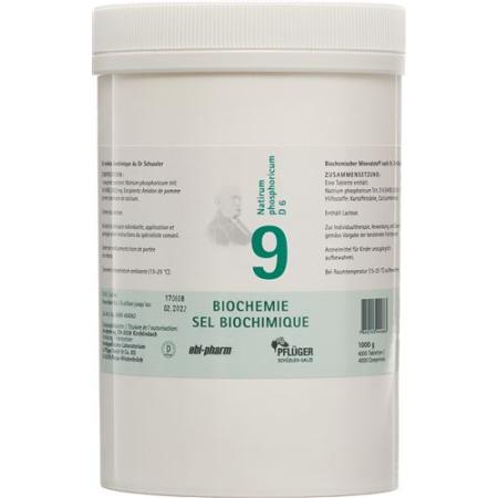 PFLUEGER SCH&Uuml;SSLER Nr9 Natr phos Tabl D 6 1000 g - PrimeCare Global