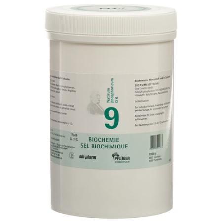 PFLUEGER SCH&Uuml;SSLER Nr9 Natr phos Tabl D 6 1000 g - PrimeCare Global