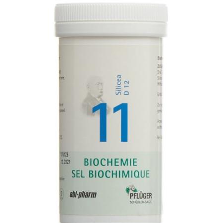 Pfluger Schuessler Nr11 Silicea Tabl D 12 100 g - PrimeCare Global