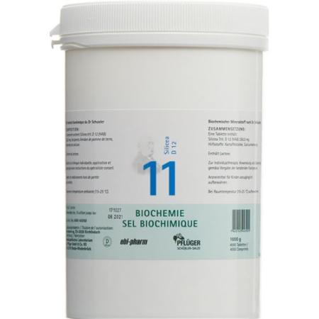 Pfluger Schuessler Nr11 Silicea Tabl D 12 1000 g - PrimeCare Global