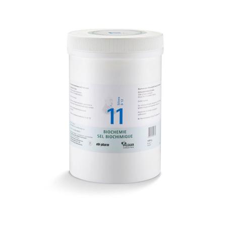 PFLUEGER SCH&Uuml;SSLER Nr11 Silicea Plv D 12 250 g - PrimeCare Global
