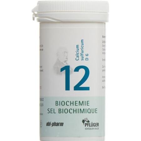 Pfluger Schuessler Nr12 Calcium sulfuricum Tabl D 6 1000 g - PrimeCare Global