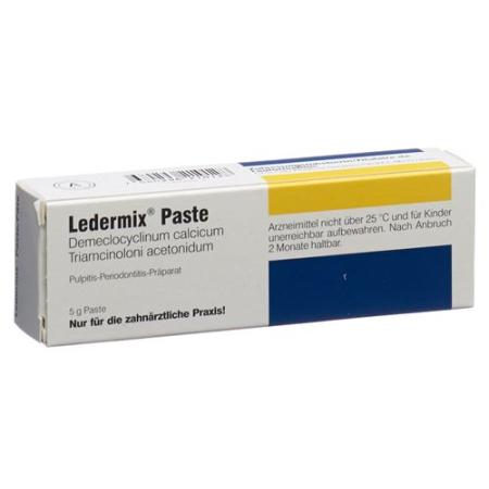 Leather Mix Paste Tb 5 g - PrimeCare Global