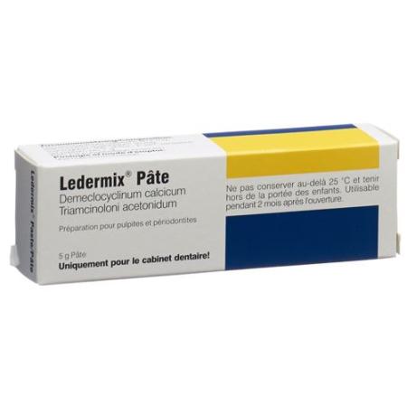 Leather Mix Paste Tb 5 g - PrimeCare Global