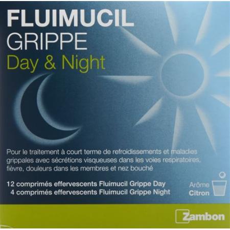 Fluimucil Flu Day Night Effervescent Tablet 16 pcs - PrimeCare Global