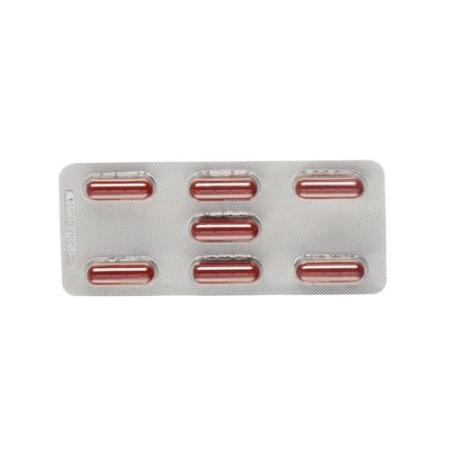 Itraderm Capsules 100 mg 14 pcs - PrimeCare Global