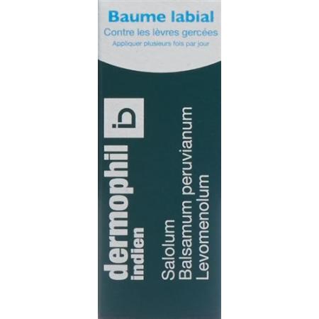 Dermophil India Lip Balm Stick 3.5 g - PrimeCare Global