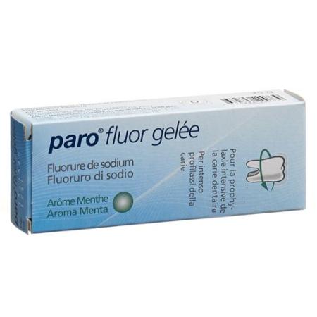 PARO FLUOR GEL�S SODIUM FLUORIDE MINT TB - PrimeCare Global