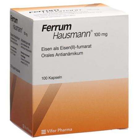 Ferrum Hausmann 100 mg 100 sustained-release capsules - PrimeCare Global