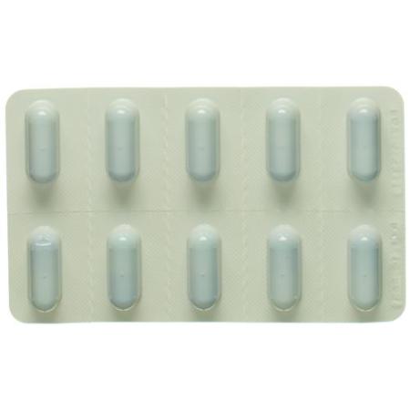 Ferrum Hausmann 100 mg 100 sustained-release capsules - PrimeCare Global