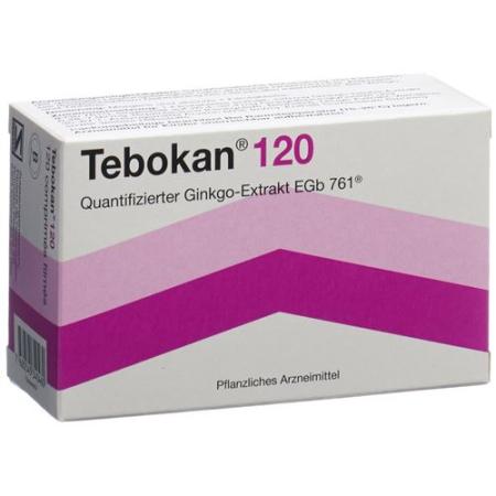 Tebokan film tabl 120 mg 90 pcs - PrimeCare Global