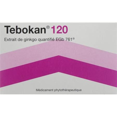 Tebokan film tabl 120 mg 90 pcs - PrimeCare Global