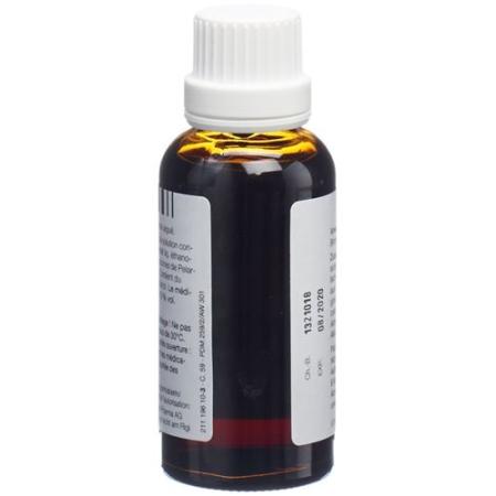 Umckaloabo solution 50 ml - PrimeCare Global