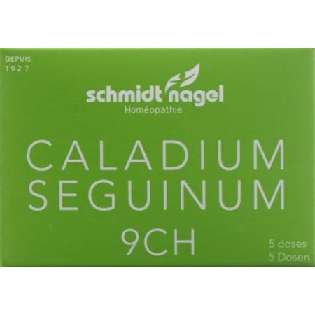 SN Caladium seguinum Glob CH 9 5 x 1 g - PrimeCare Global