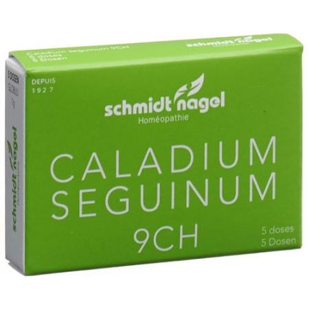 SN Caladium seguinum Glob CH 9 5 x 1 g - PrimeCare Global