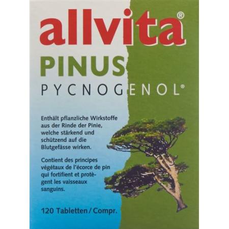 Allvita Pinus Pycnogenol Tabl 120 pcs - PrimeCare Global