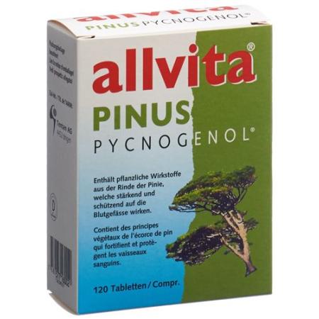 Allvita Pinus Pycnogenol Tabl 120 pcs - PrimeCare Global
