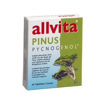 Allvita Pinus Pycnogenol Tabl 120 pcs - PrimeCare Global