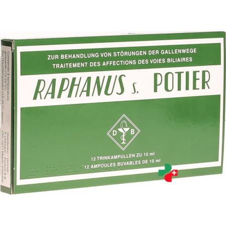 Raphanus S Potier 12 Trink Ampullen 10 ml - PrimeCare Global
