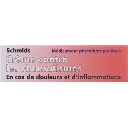 Schmid's Rheumatism Cream Tb 100 g - PrimeCare Global