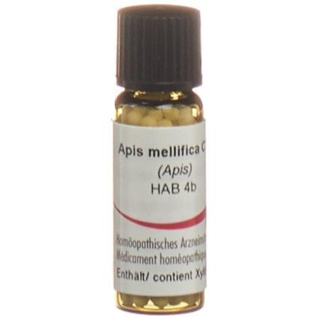 Omida Apis Glob C 30 Xylitol 2 g - PrimeCare Global