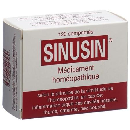 Sinusin Tabl 400 mg 120 pcs - PrimeCare Global