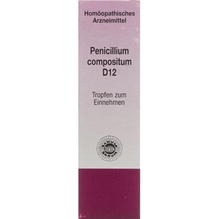 Sanum Penicillium Compositum Tropfen D 12 10мл - PrimeCare Global