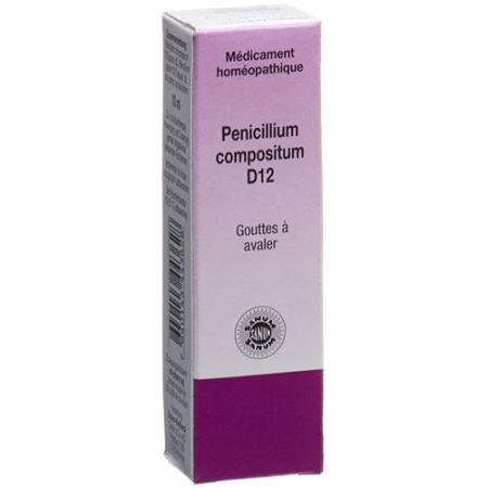Sanum Penicillium Compositum Tropfen D 12 10мл - PrimeCare Global