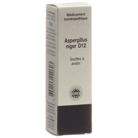 Sanum Aspergillus niger drops D 12 10 ml - PrimeCare Global