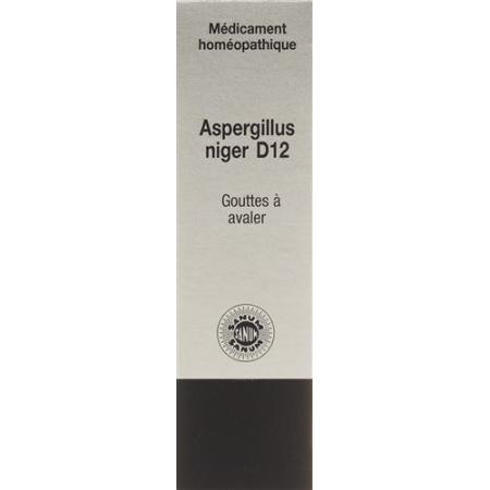 Sanum Aspergillus niger drops D 12 10 ml - PrimeCare Global