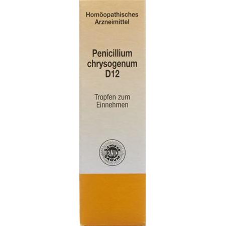 SANUM Penicillium chrysogenum D 12 (notatum) 10 ml - PrimeCare Global