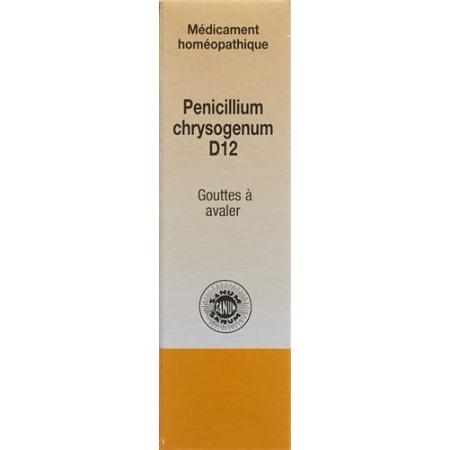 SANUM Penicillium chrysogenum D 12 (notatum) 10 ml - PrimeCare Global