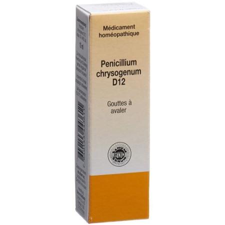 SANUM Penicillium chrysogenum D 12 (notatum) 10 ml - PrimeCare Global