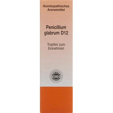 SANUM Penicillium glabrum drops D 12 10 ml - PrimeCare Global