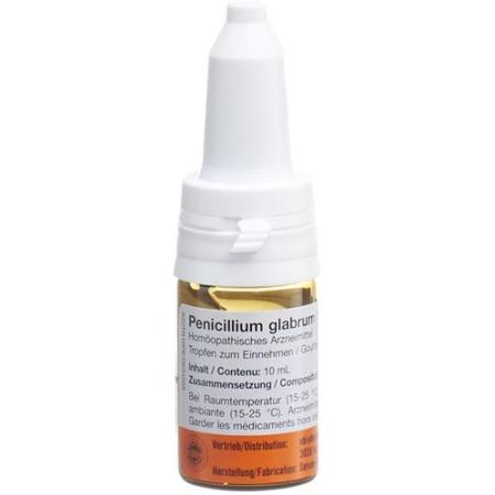 SANUM Penicillium glabrum drops D 12 10 ml - PrimeCare Global