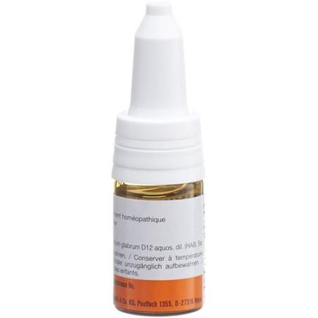 SANUM Penicillium glabrum drops D 12 10 ml - PrimeCare Global