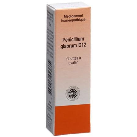 SANUM Penicillium glabrum drops D 12 10 ml - PrimeCare Global