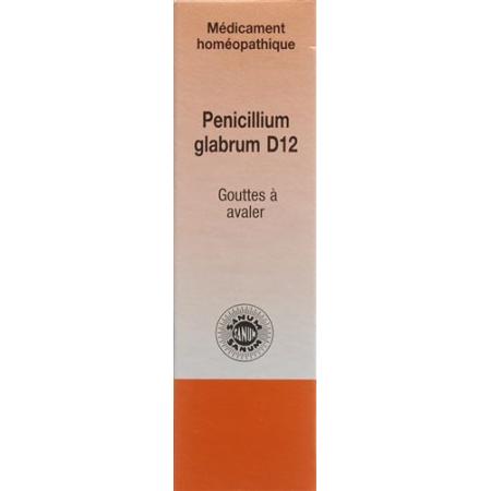 SANUM Penicillium glabrum drops D 12 10 ml - PrimeCare Global