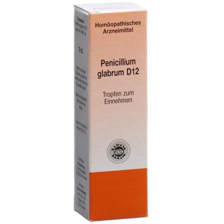 SANUM Penicillium glabrum drops D 12 10 ml - PrimeCare Global