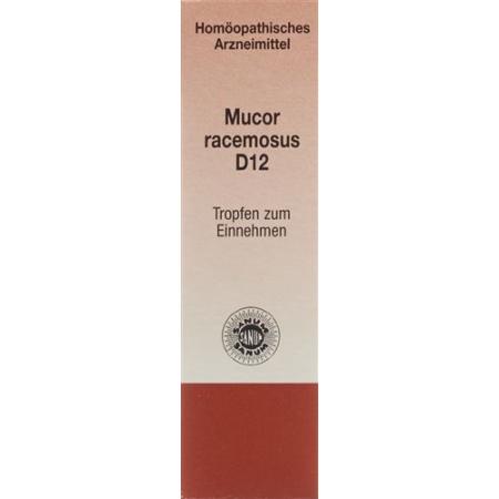 SANUM Mucor racemosus drops D 12 10 ml - PrimeCare Global