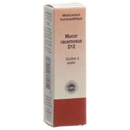 SANUM Mucor racemosus drops D 12 10 ml - PrimeCare Global