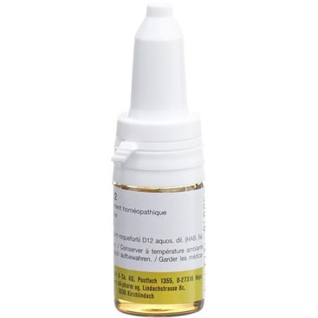 SANUM Penicillium roqueforti drops D 12 10 ml - PrimeCare Global