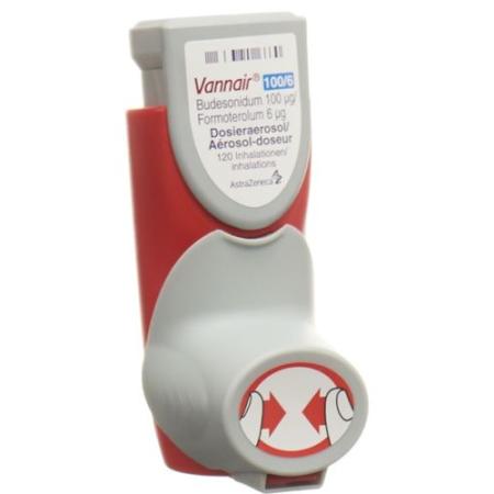 Vannair 100/6 dosing aerosols 120 doses - PrimeCare Global