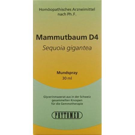 PHYTOMED GEMMO sequoia liq D 4 Spr 30 ml - PrimeCare Global
