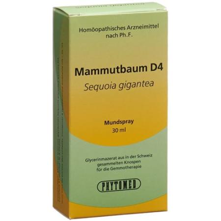 PHYTOMED GEMMO sequoia liq D 4 Spr 30 ml - PrimeCare Global